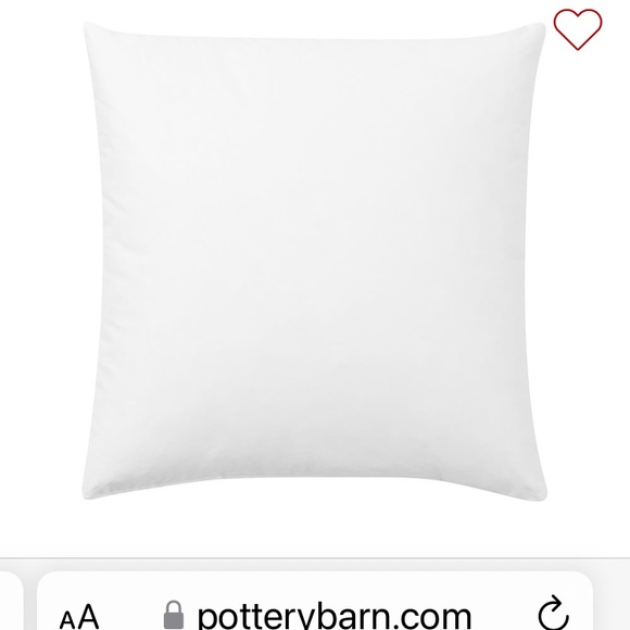 Pottery Barn Accents Pottery Barn Down Feather Pillow Insert 2x20